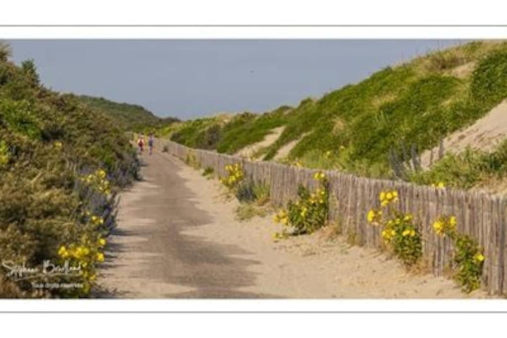 La Baigneuse Maison Avec Jardinet Et Parking Prive, A 200 M Plage Cayeux-sur-Mer Exterior foto